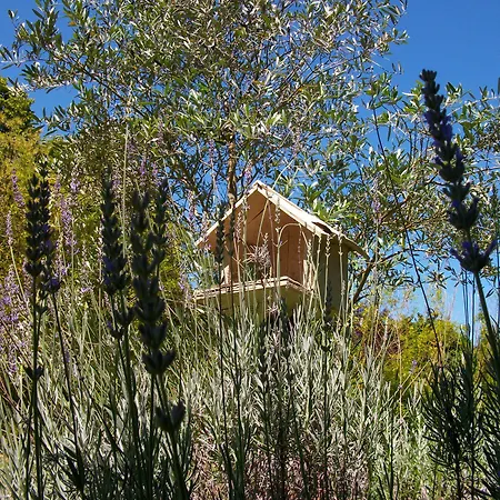Bed & Breakfast Domaine De Monein