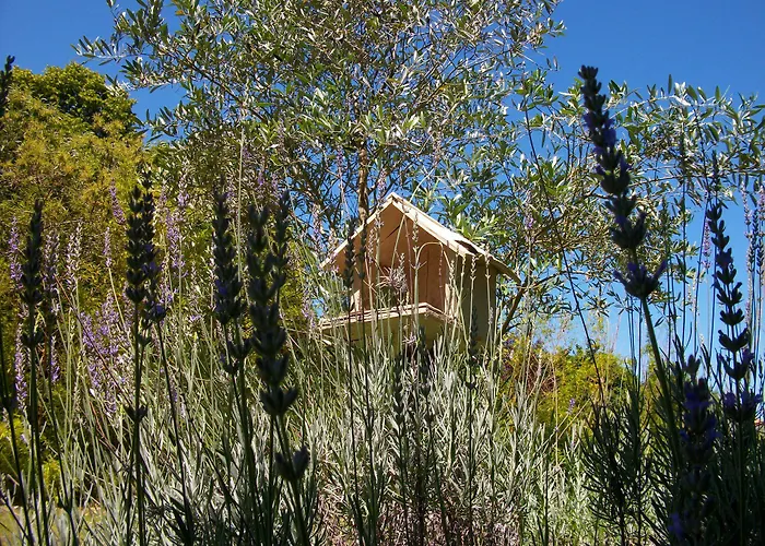 Frühstückspension Domaine De Monein