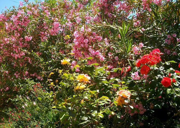 Domaine De Monein Frühstückspension