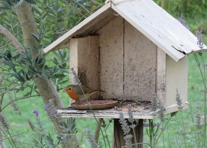Domaine De Monein Frühstückspension Saint-André-de-Cubzac