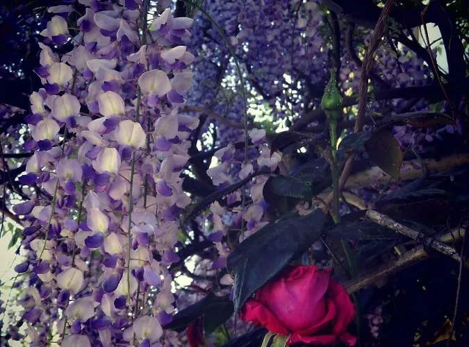 Frühstückspension Domaine De Monein Saint-André-de-Cubzac